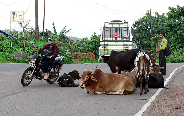 Doprava v Indii na dálnici