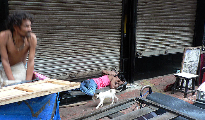 Ranní spáč v Bombaji a kočka