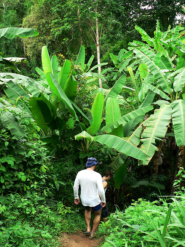 Pochod přes džungli