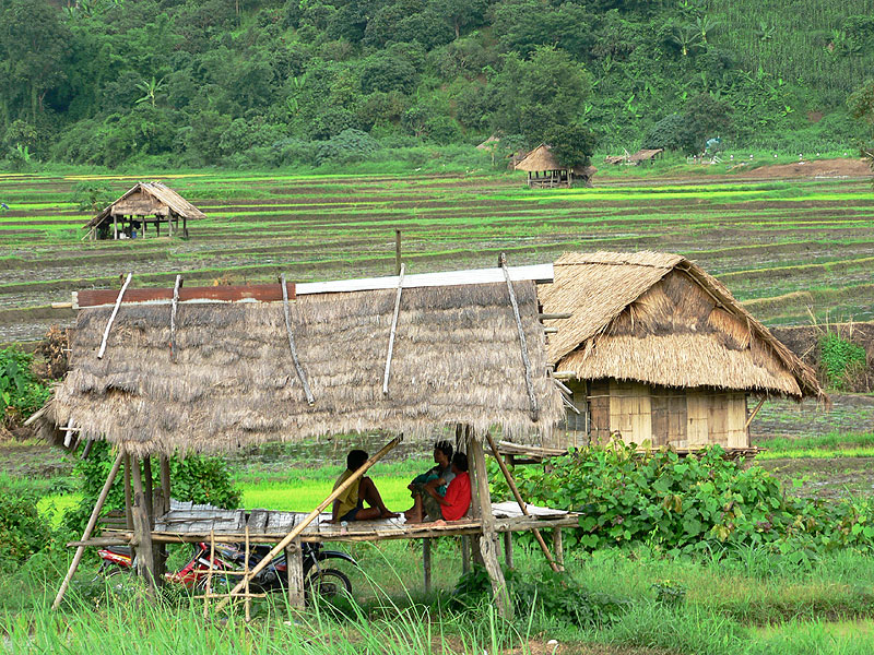 Rolníci odpočívají na rýžovém poli